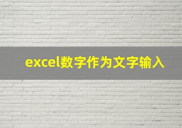 excel数字作为文字输入