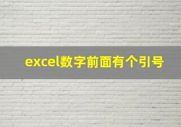 excel数字前面有个引号