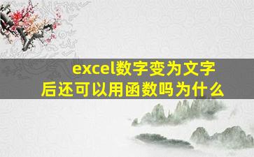 excel数字变为文字后还可以用函数吗为什么