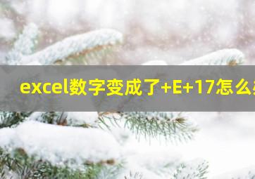 excel数字变成了+E+17怎么办