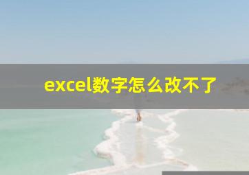 excel数字怎么改不了