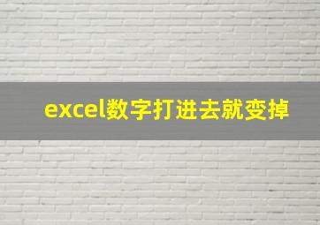 excel数字打进去就变掉