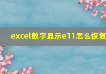 excel数字显示e11怎么恢复