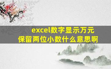 excel数字显示万元保留两位小数什么意思啊