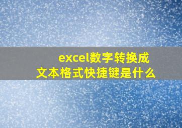 excel数字转换成文本格式快捷键是什么