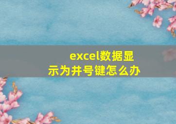 excel数据显示为井号键怎么办