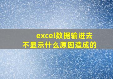 excel数据输进去不显示什么原因造成的