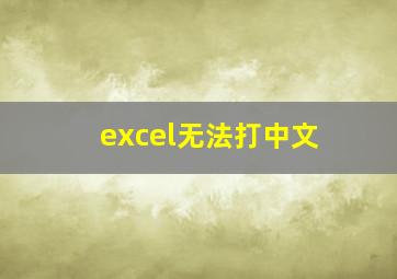 excel无法打中文