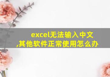 excel无法输入中文,其他软件正常使用怎么办