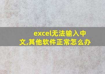 excel无法输入中文,其他软件正常怎么办