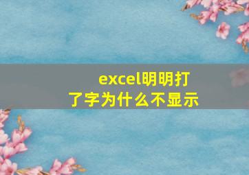 excel明明打了字为什么不显示