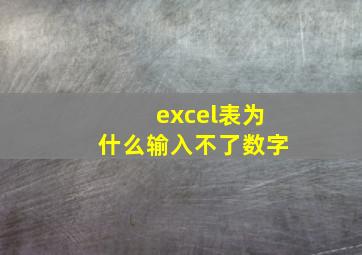 excel表为什么输入不了数字