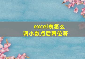 excel表怎么调小数点后两位呀