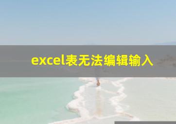 excel表无法编辑输入