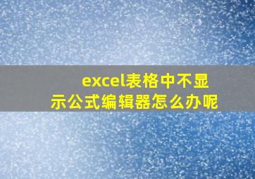 excel表格中不显示公式编辑器怎么办呢