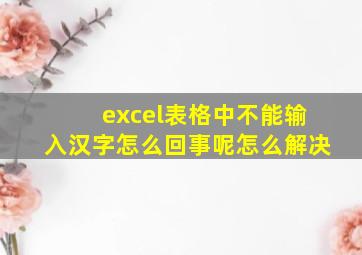 excel表格中不能输入汉字怎么回事呢怎么解决