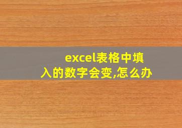 excel表格中填入的数字会变,怎么办