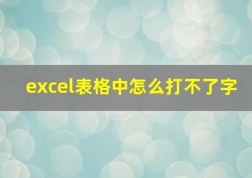 excel表格中怎么打不了字