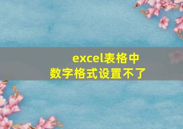 excel表格中数字格式设置不了