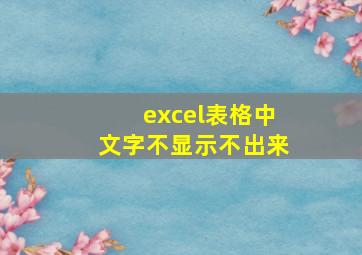 excel表格中文字不显示不出来