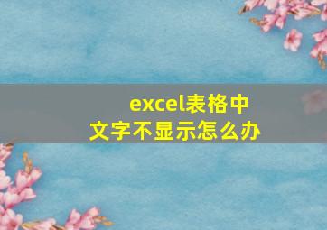 excel表格中文字不显示怎么办