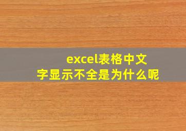 excel表格中文字显示不全是为什么呢