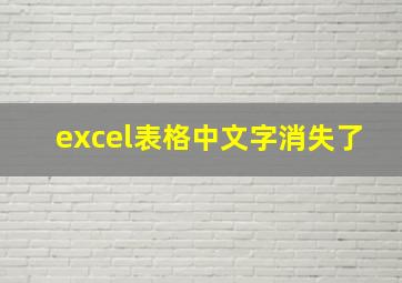 excel表格中文字消失了