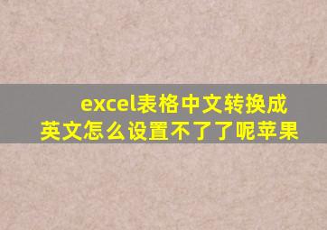 excel表格中文转换成英文怎么设置不了了呢苹果