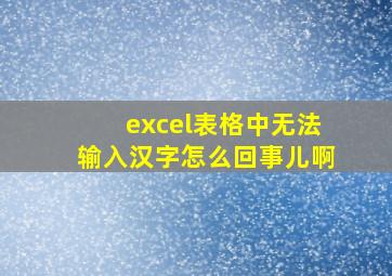 excel表格中无法输入汉字怎么回事儿啊