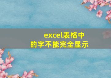 excel表格中的字不能完全显示