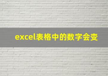 excel表格中的数字会变