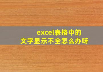 excel表格中的文字显示不全怎么办呀