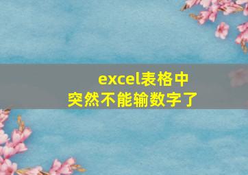 excel表格中突然不能输数字了