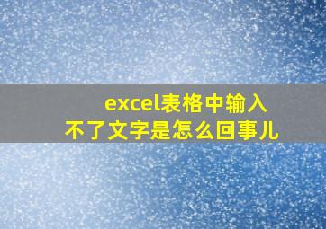 excel表格中输入不了文字是怎么回事儿