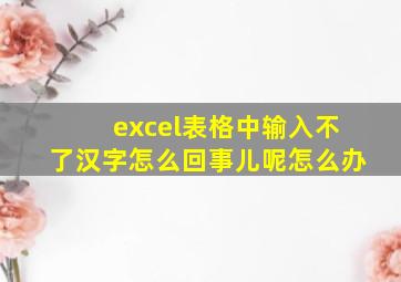 excel表格中输入不了汉字怎么回事儿呢怎么办