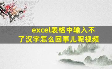 excel表格中输入不了汉字怎么回事儿呢视频