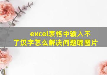 excel表格中输入不了汉字怎么解决问题呢图片