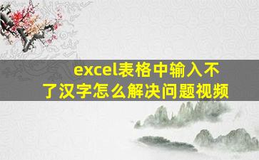 excel表格中输入不了汉字怎么解决问题视频