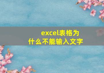 excel表格为什么不能输入文字