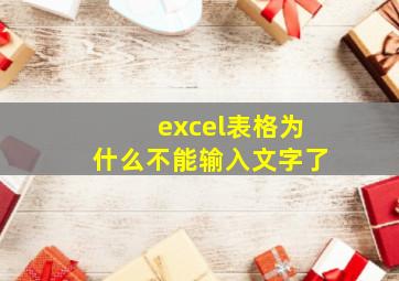 excel表格为什么不能输入文字了