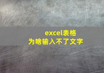 excel表格为啥输入不了文字