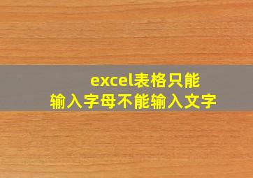 excel表格只能输入字母不能输入文字