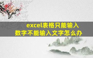 excel表格只能输入数字不能输入文字怎么办