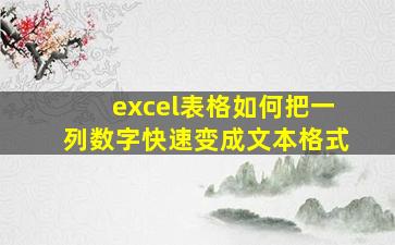 excel表格如何把一列数字快速变成文本格式