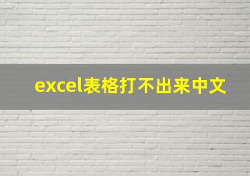 excel表格打不出来中文