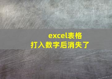 excel表格打入数字后消失了