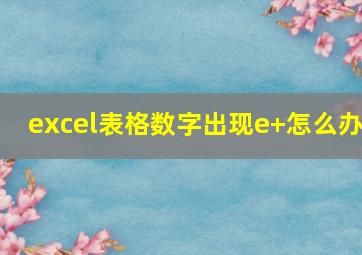 excel表格数字出现e+怎么办