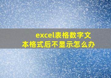 excel表格数字文本格式后不显示怎么办