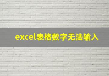 excel表格数字无法输入