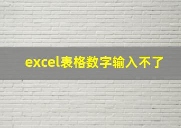 excel表格数字输入不了